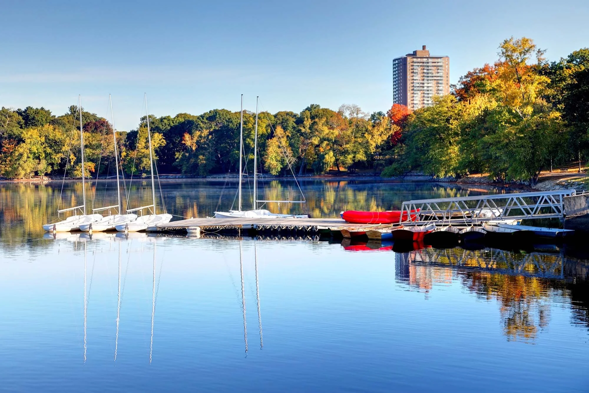 Sailboats docked on a calm lake with autumn trees and a tall building reflected in the water.