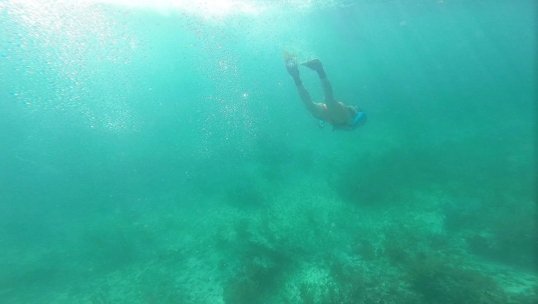 A person swimming away underwater