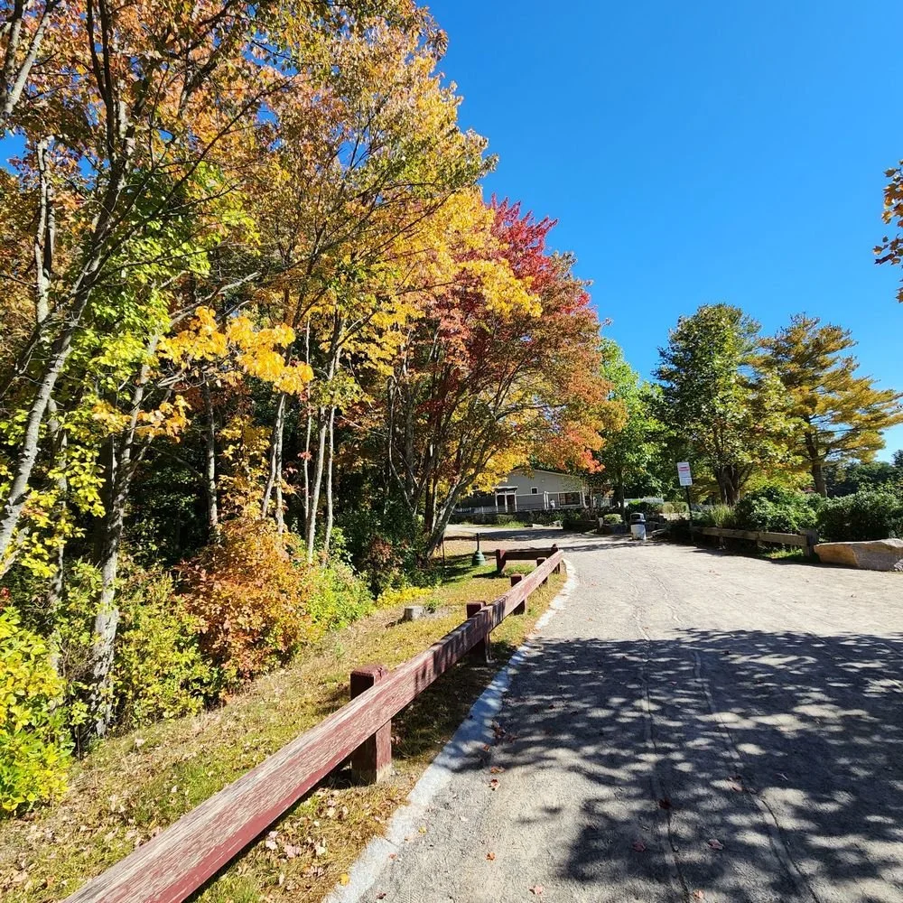 A sunlit path bordered by a wooden rail and trees with colorful autumn foliage under a clear blue sky.