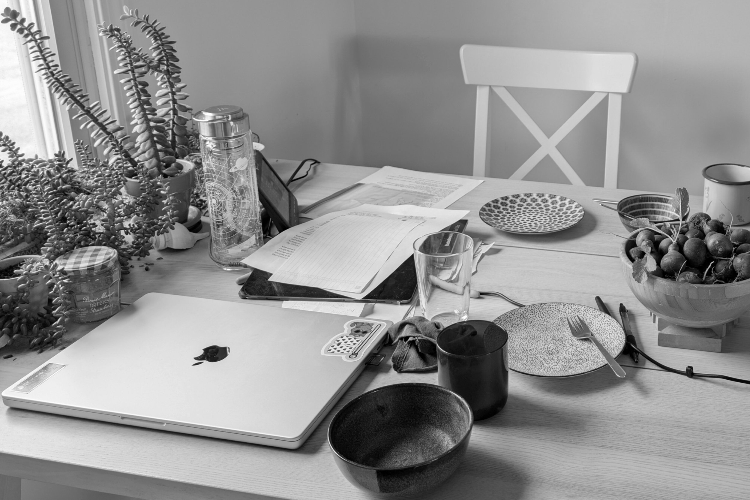 Black-and-white photo of a laptop, notebook, coffee cup, and plants on a writing desk