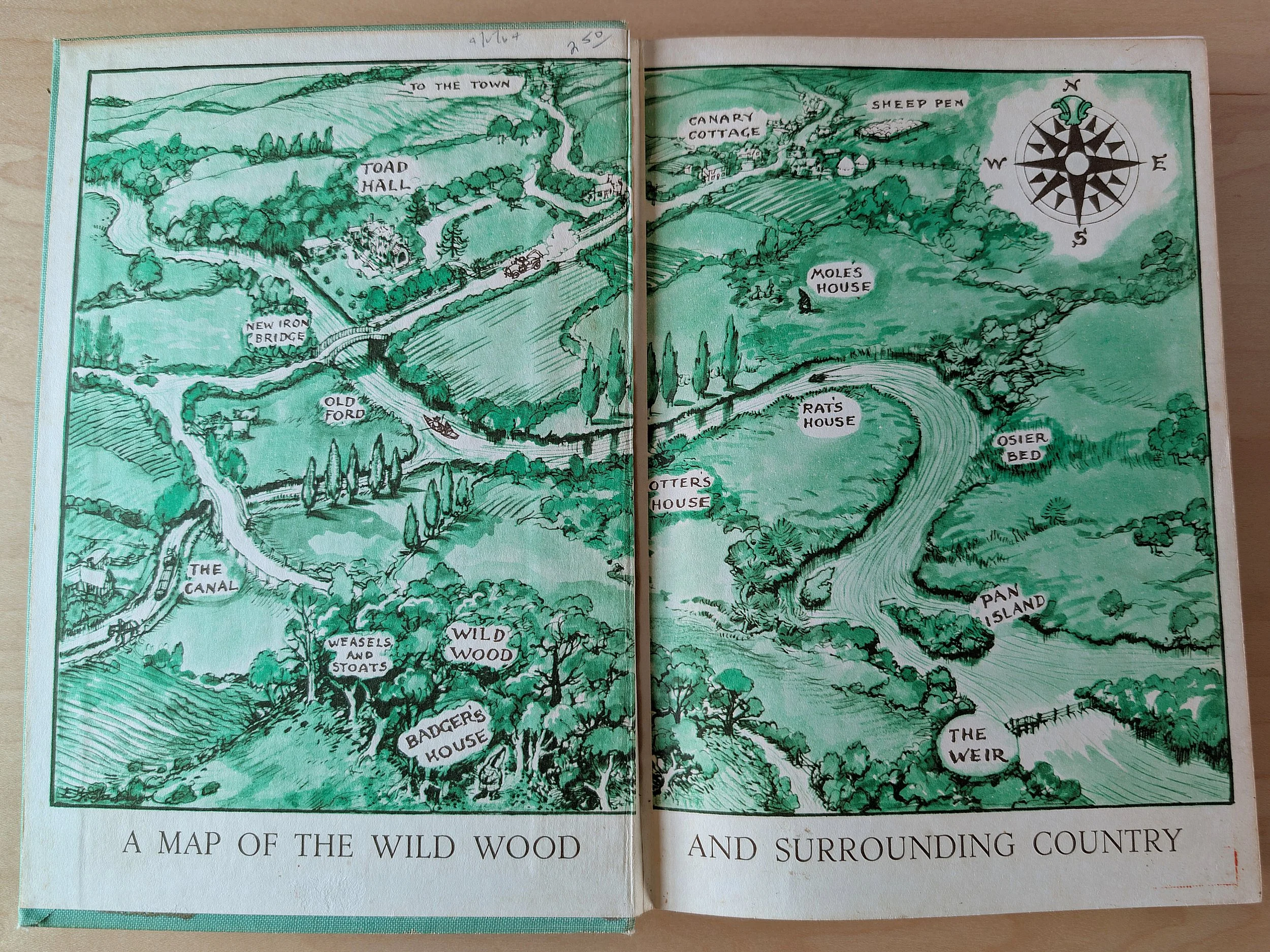 Illustrated green map titled ‘A Map of the Wild Wood,’ showing rivers, woods, and labeled animal homes