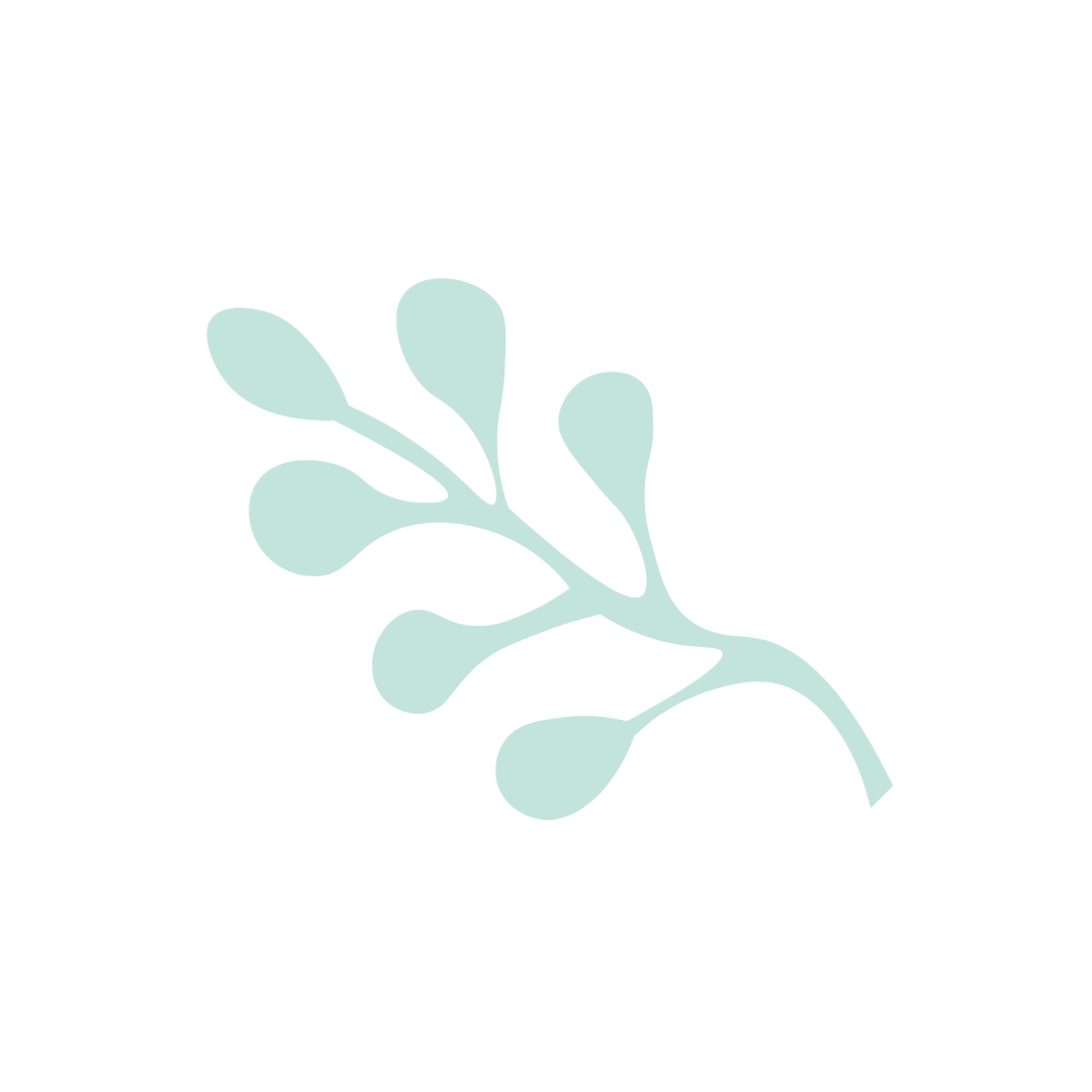 A minimalist illustration of a pale green leafy branch on a black background.