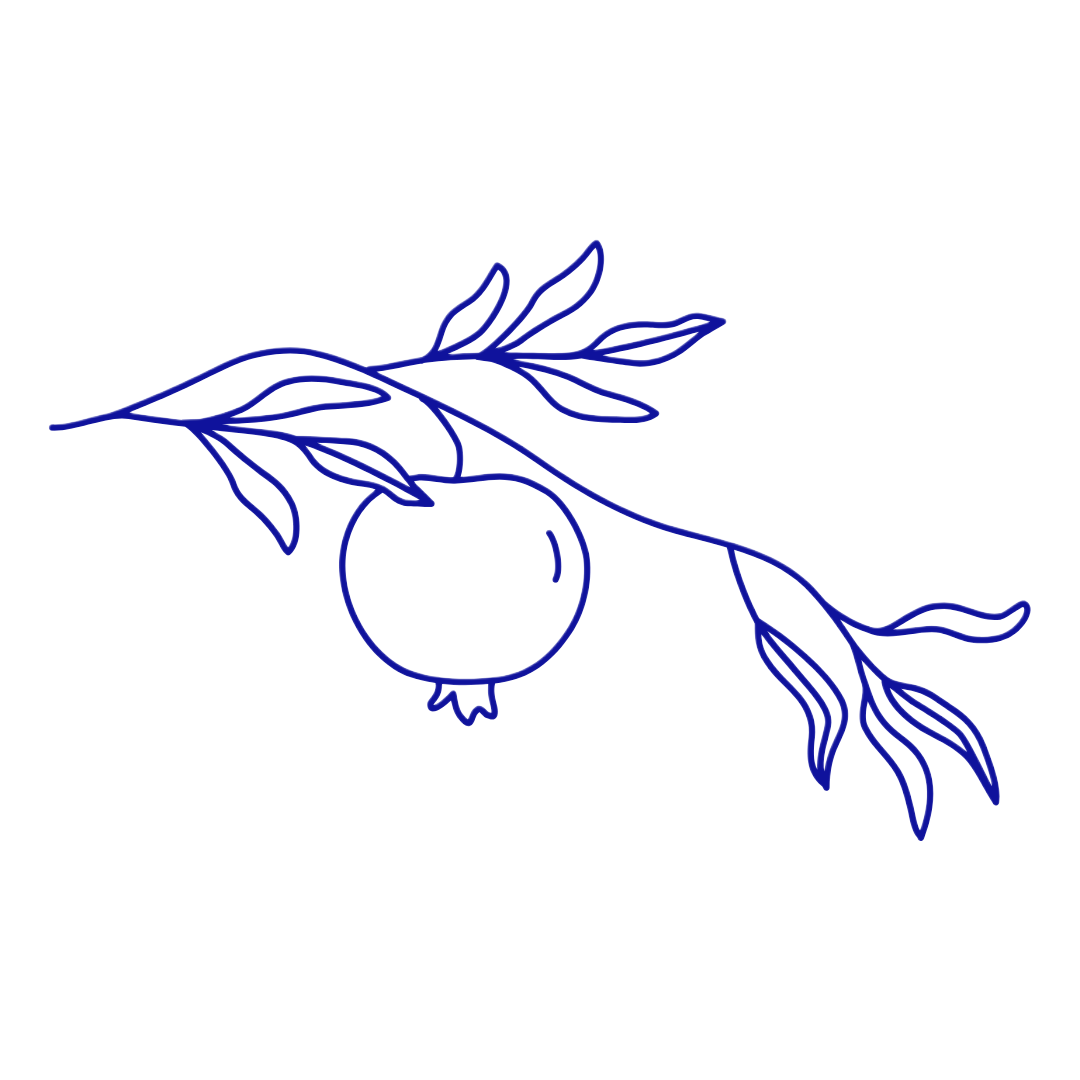 Line drawing of a pomegranate hanging from a branch with leaves.