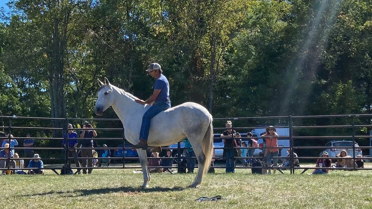 Presence is the First Step Toward Love: What Chris Lombard and His Horses Keep Teaching Me