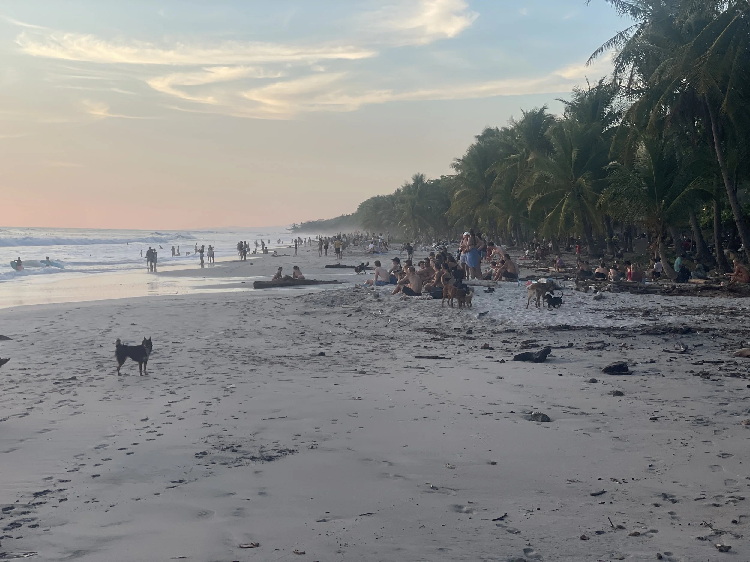 The Sunset Service