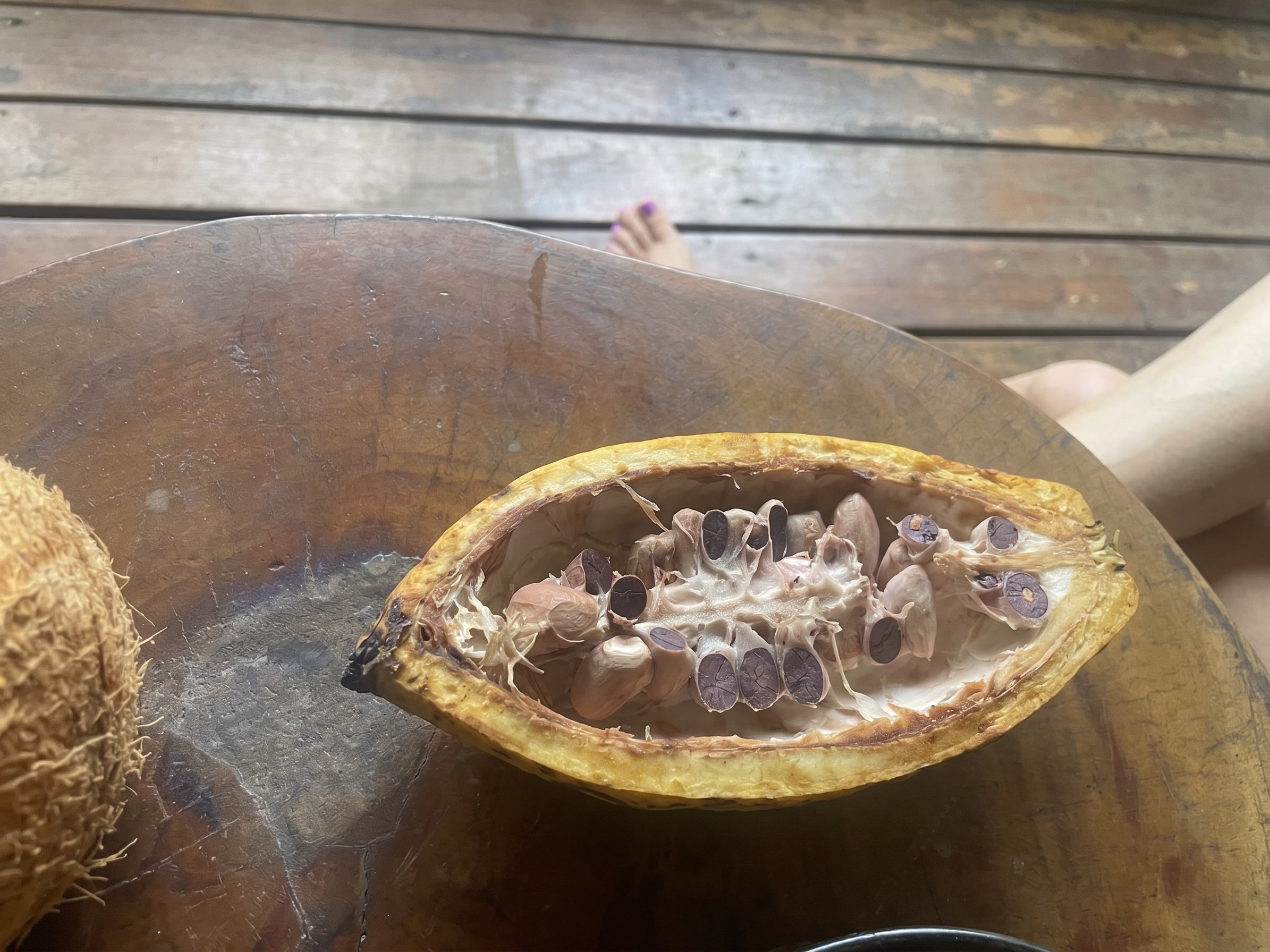 When Life Gives You Overripe Cacao Fruit