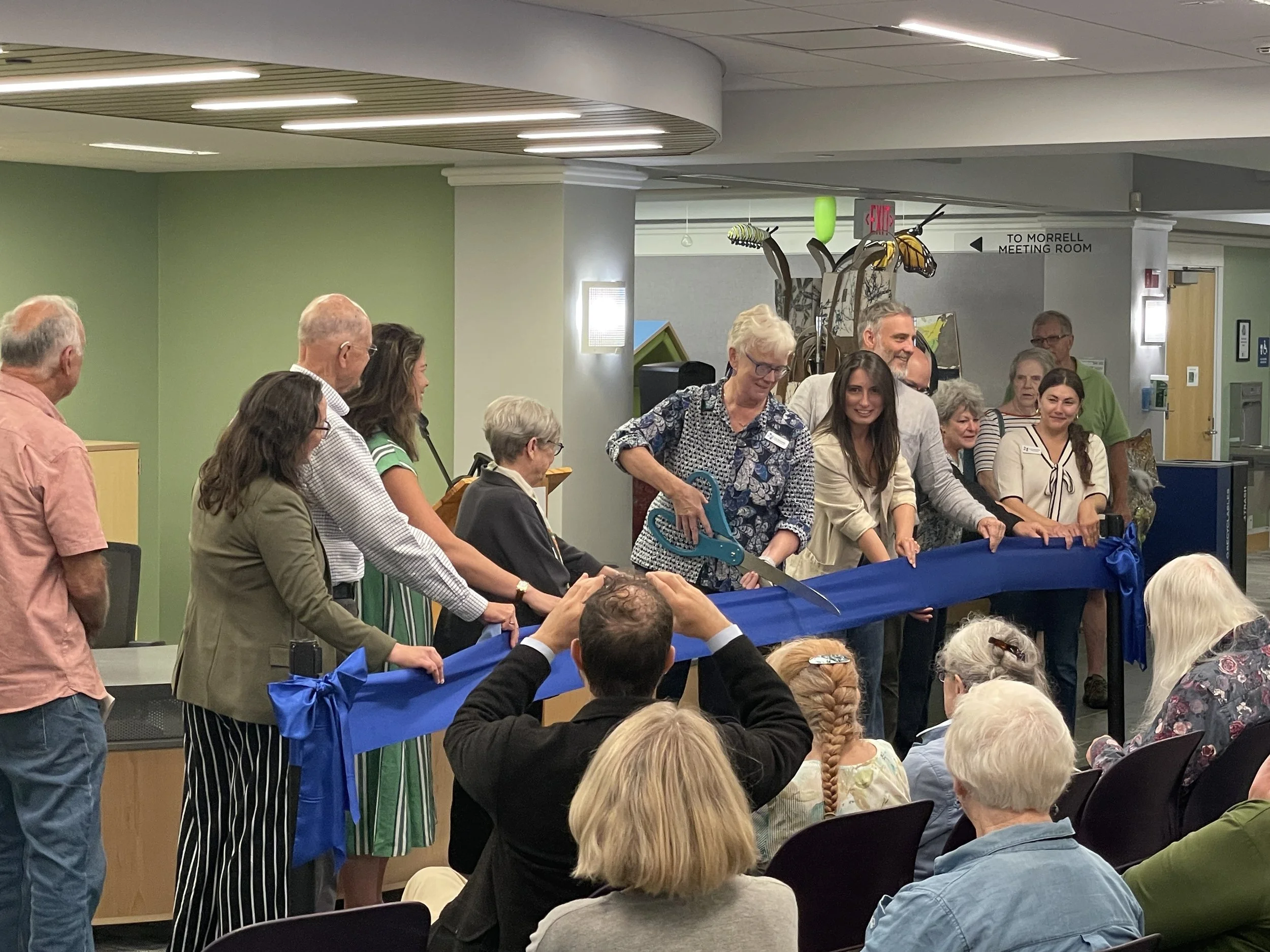 A Love Letter to Curtis Memorial Library
