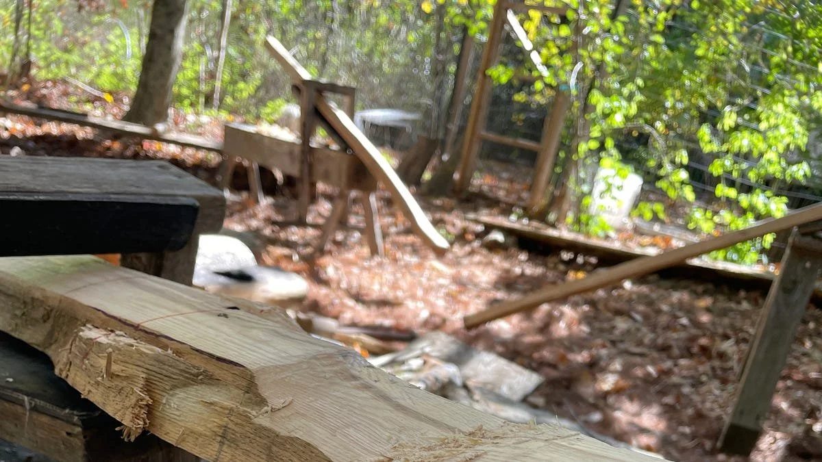 Building a Bow: The Weight of Making Something Meant to Kill