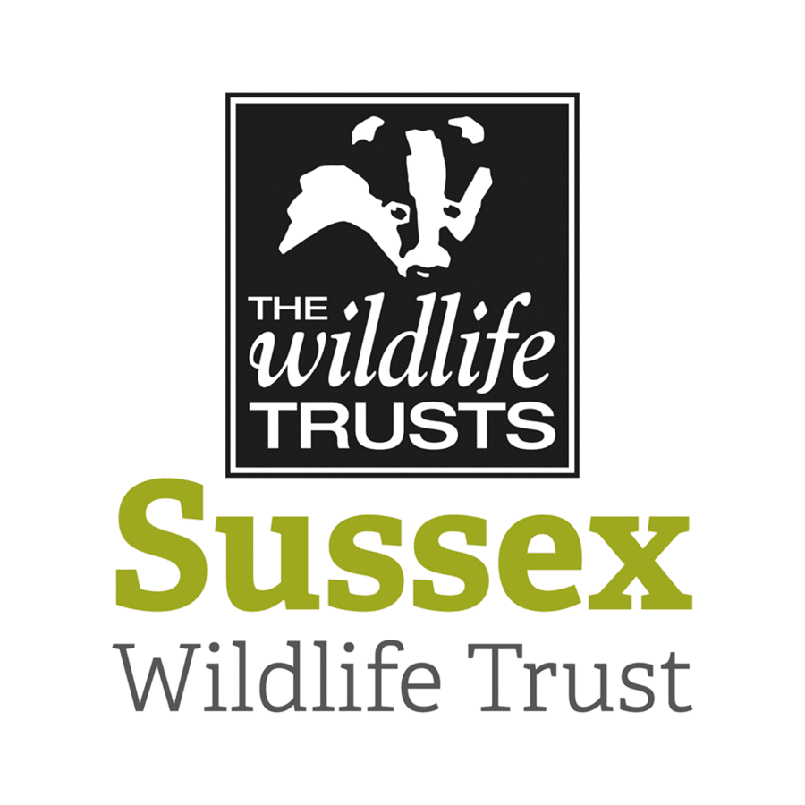Open Door takes part in important accessibility research for Sussex Wildlife Trust