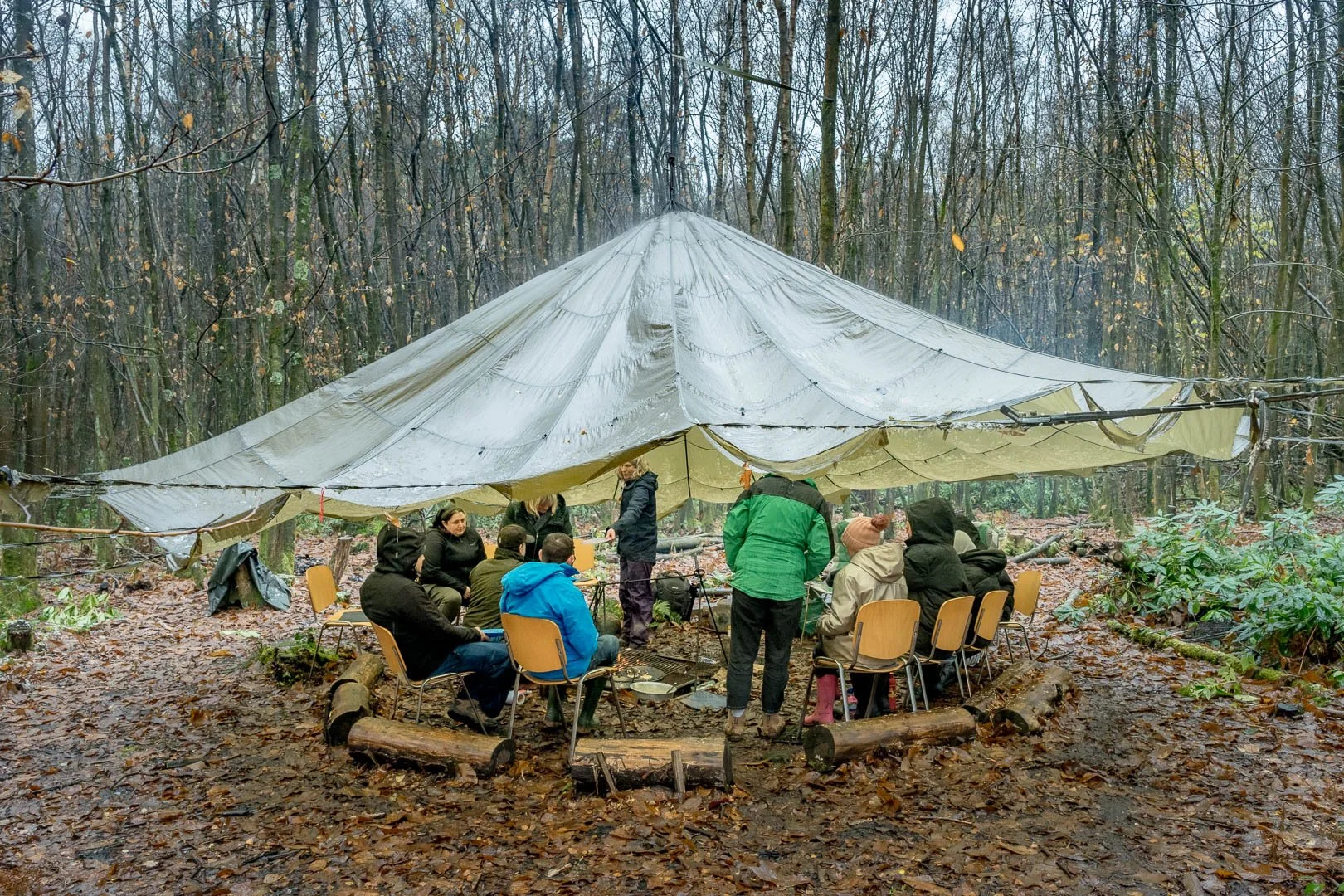 075-Welcome-to-the-Forest-Nov-2025.jpg