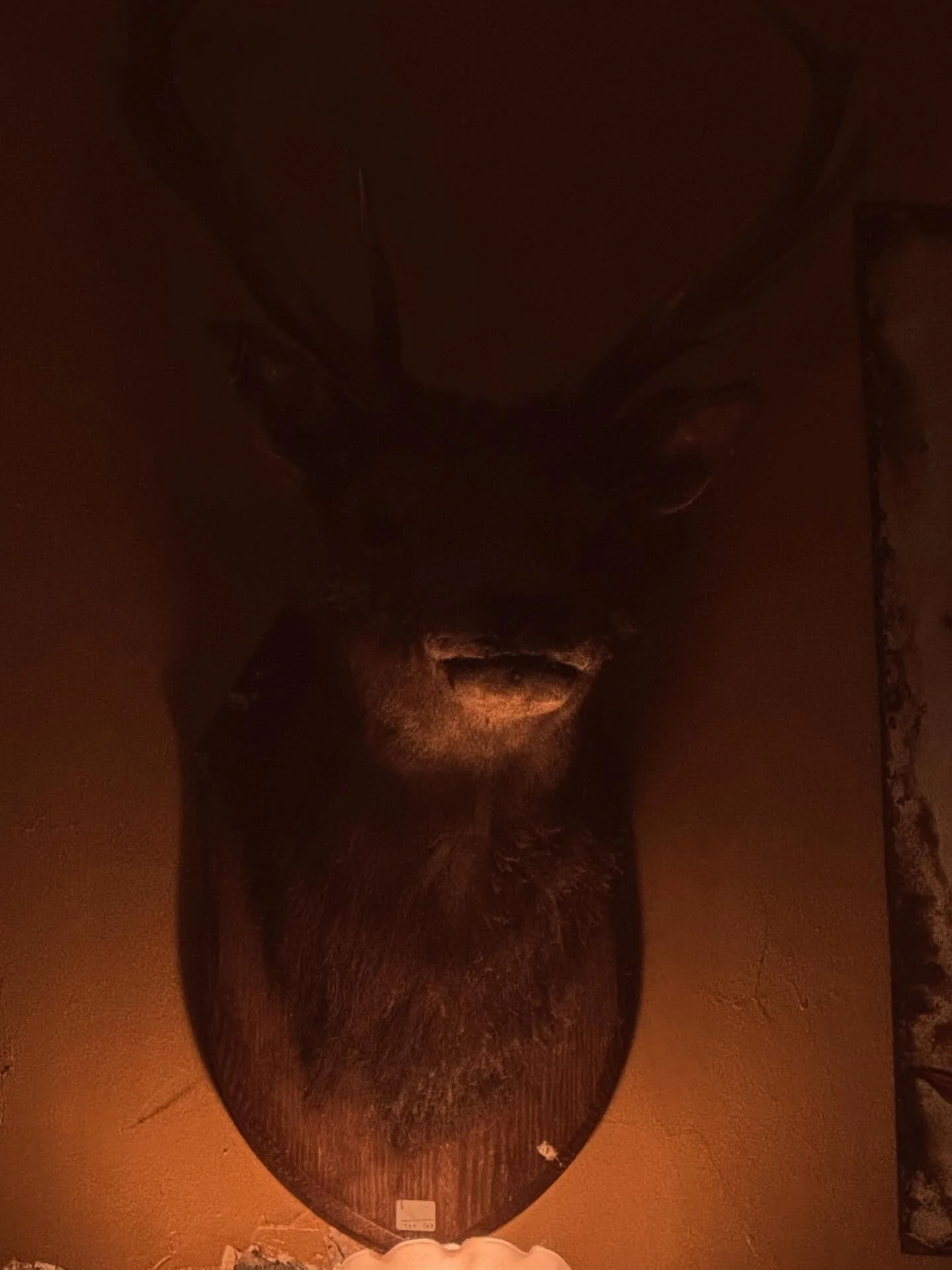 Slow down folks.

#doomcountry