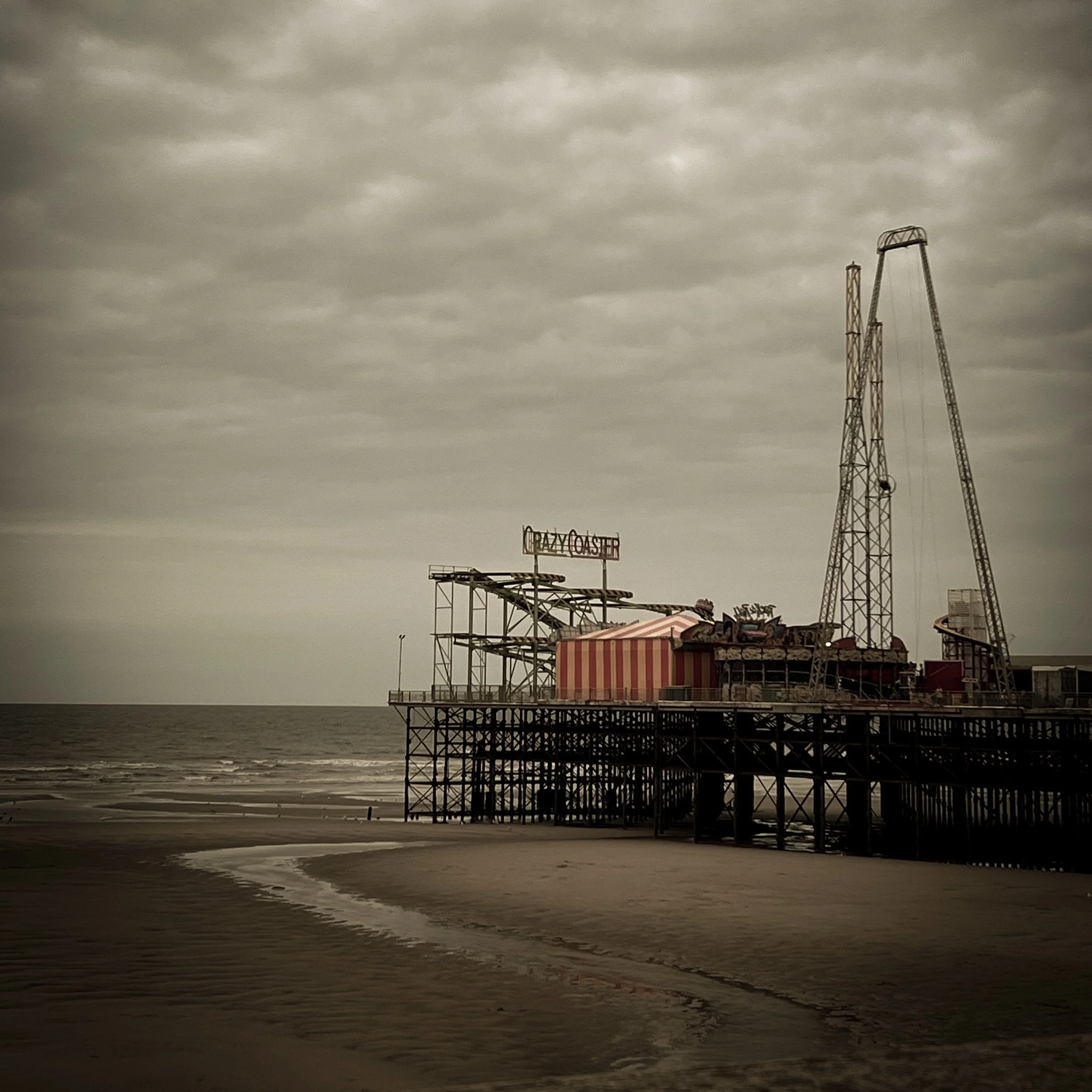 We're All Just Flies