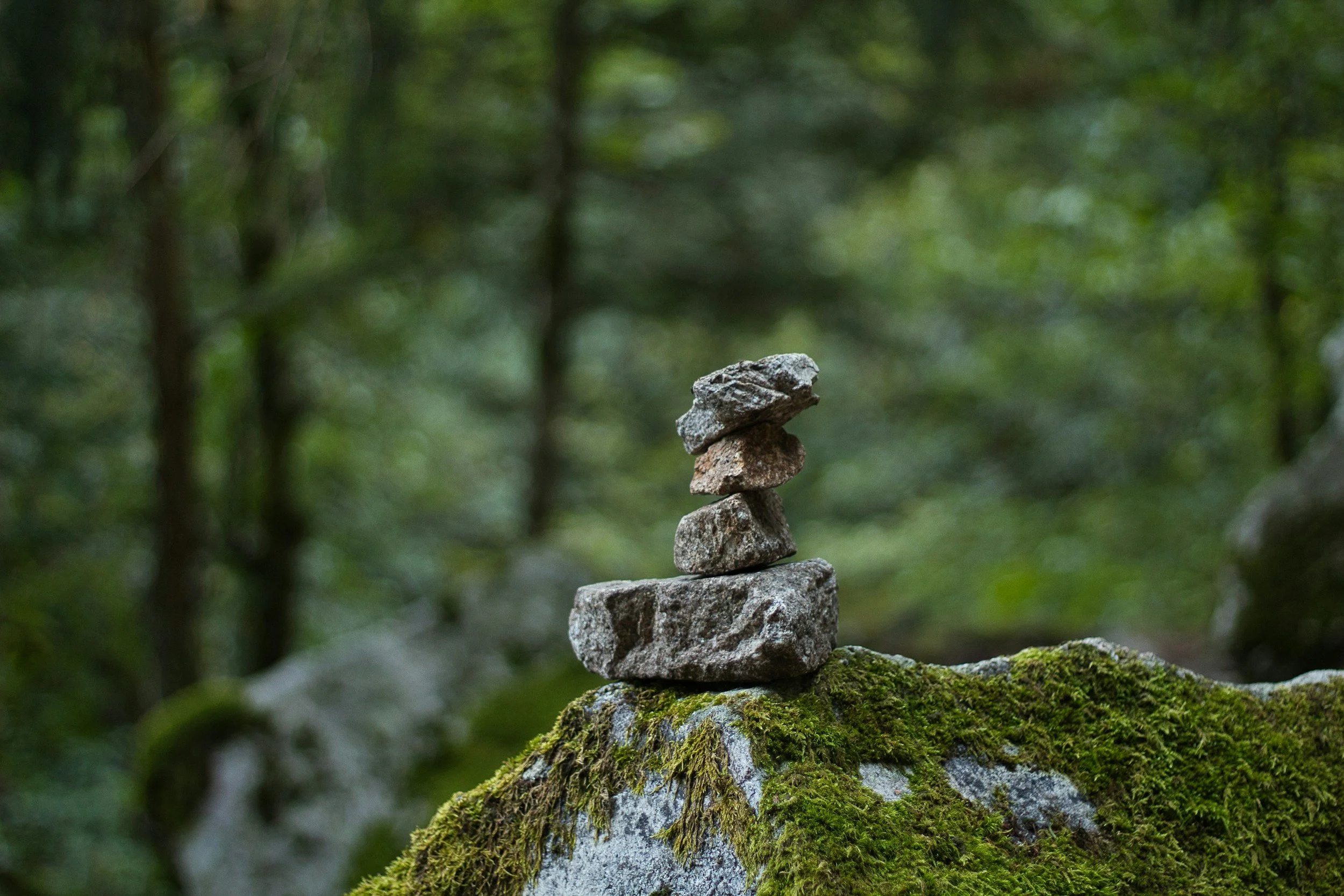 A small stack of five rocks balanced on a moss-covered rock in a forested area.