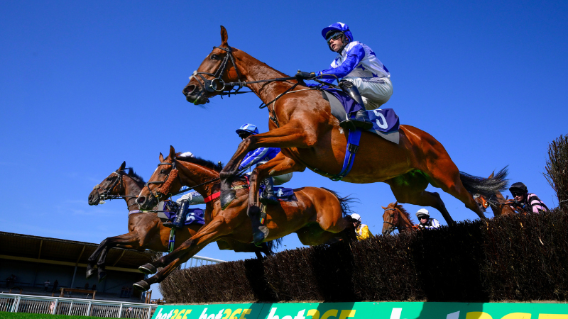 Jump Racing - Evening - Party at the Paddock with Queen tribute