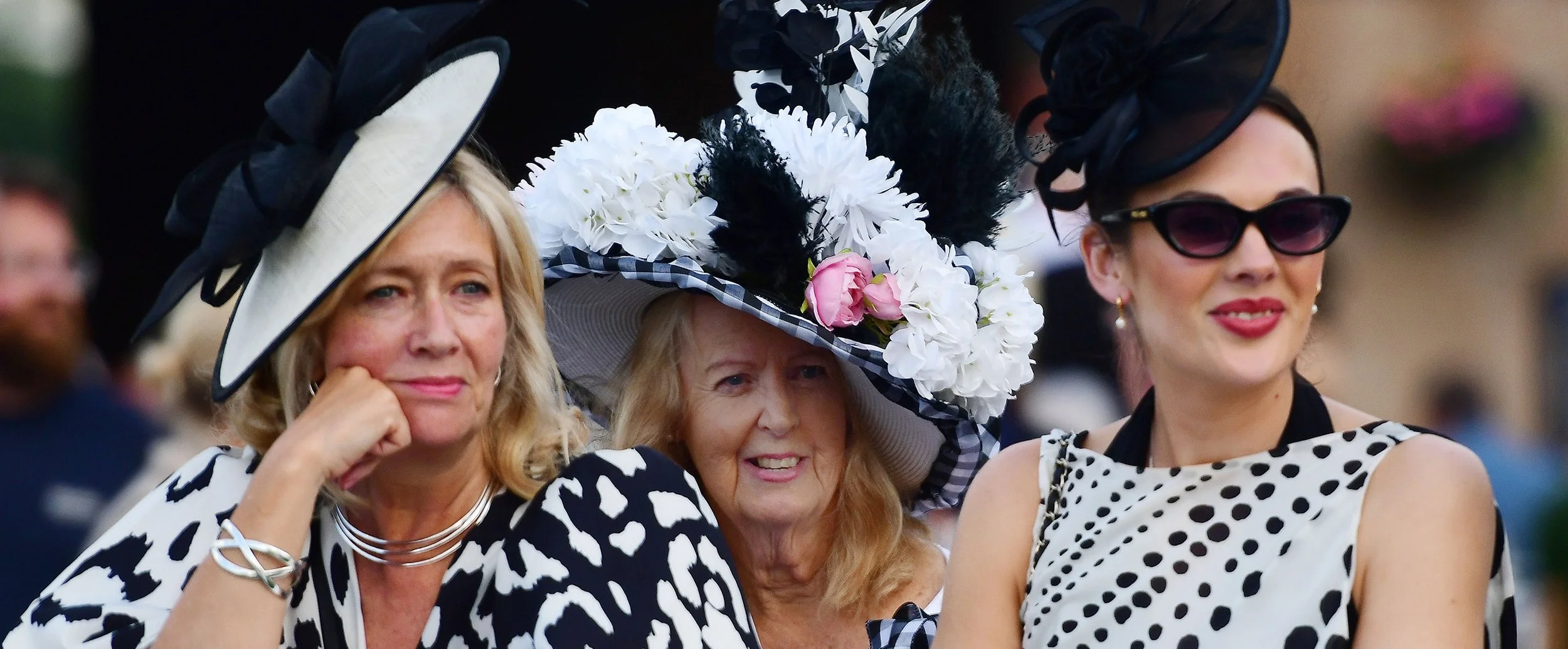 Jump Racing - Evening - Ladies Evening with Harbour