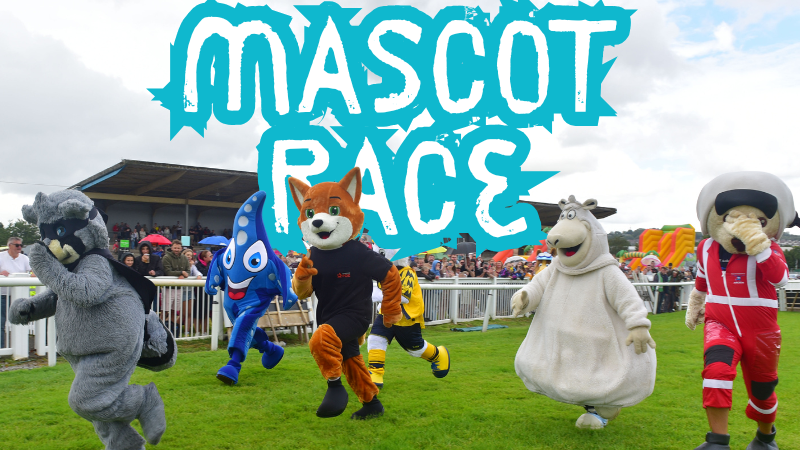Jump Racing - Afternoon - Family Fun Day featuring the Mascot Race