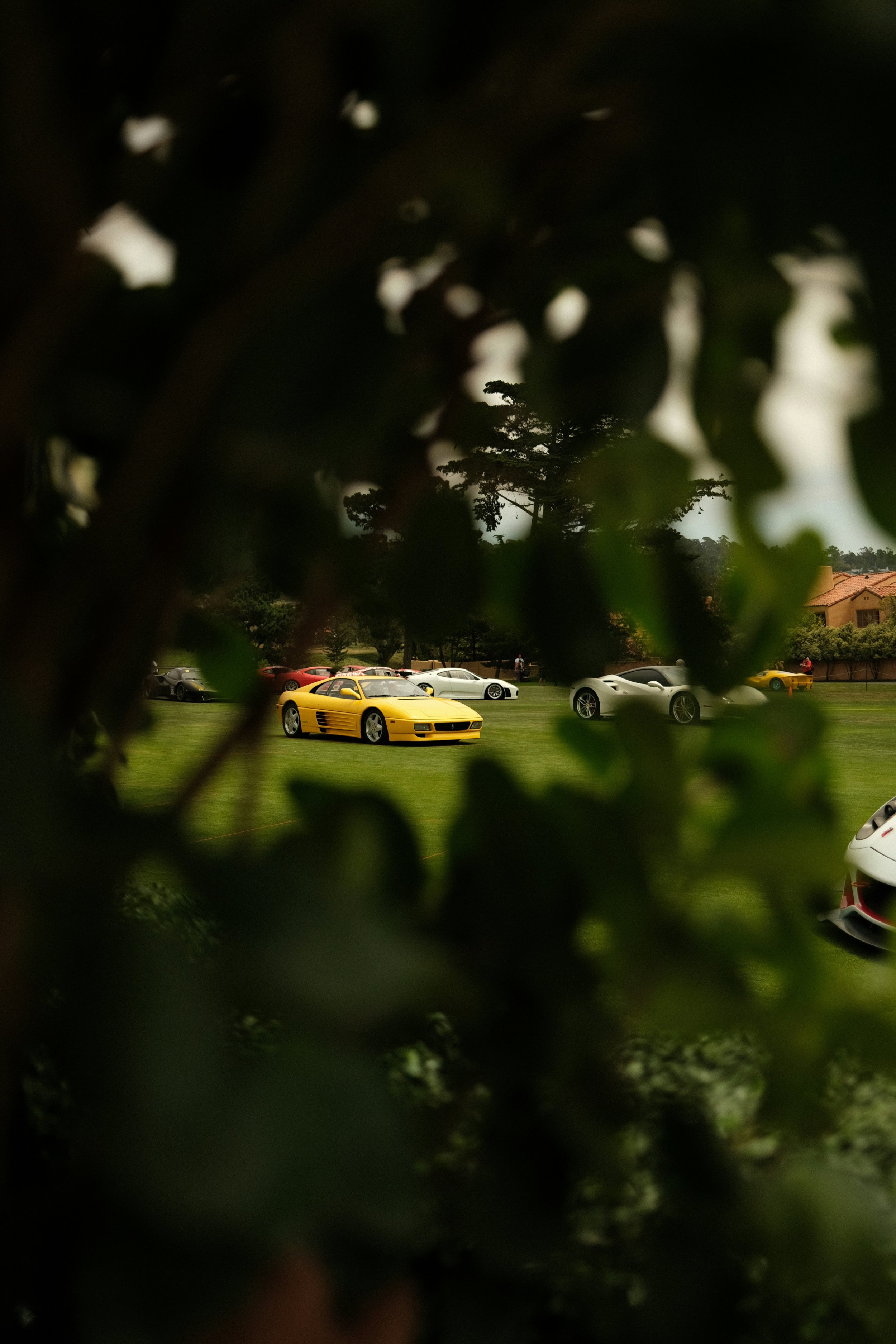 R3veal Car Show - Summer Show