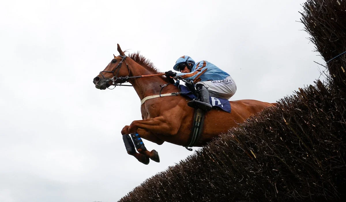 Horse and rider jumping over an obstacle during a steeplechase race