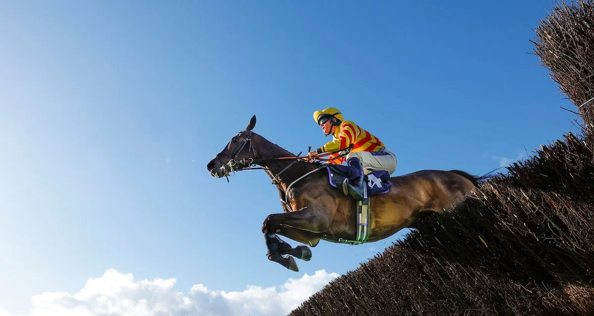 Jump Racing - Afternoon - Party In The Paddock