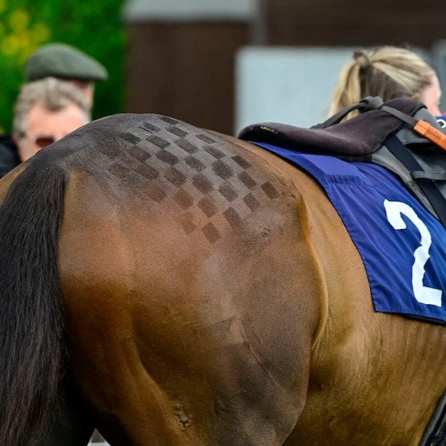 The glitz and glam doesn't just apply to the crowd - take a look at these amazing quarter markings from a few weeks ago!
 
Looking forward to seeing the creativity later today - the Best Turned Out competition is fierce.

We are racing today - ticket