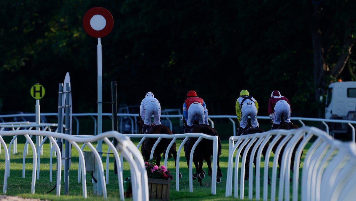 Race Preview - Friday 3rd July - Updated
