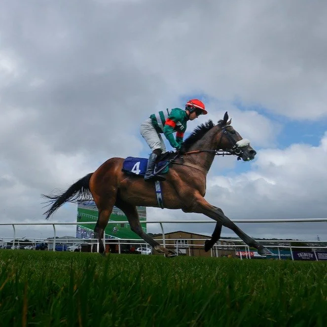 🎸 THIS FRIDAY | PARTY IN THE PADDOCK! 🏇☀️

Looking for the perfect way to start your weekend?

Join us this Friday 3rd July for an afternoon of thrilling racing followed by live music from Not the Cowboys &ndash; all included with your raceday tick