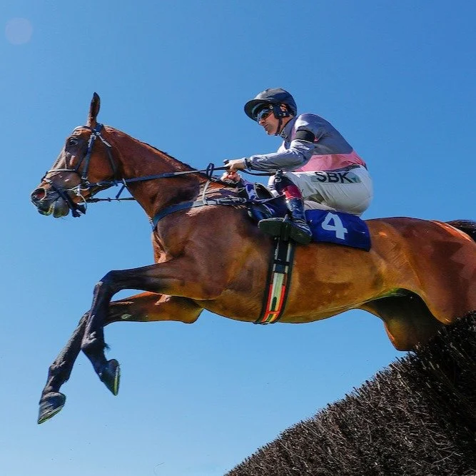 Thank you to everyone who came to our Friday afternoon fixture last week. 

What an afternoon! Sunshine, great atmosphere, packed dance floor and great racing. 

We are racing again on Monday 13th and Sunday 19th July - tickets are booking, don't for