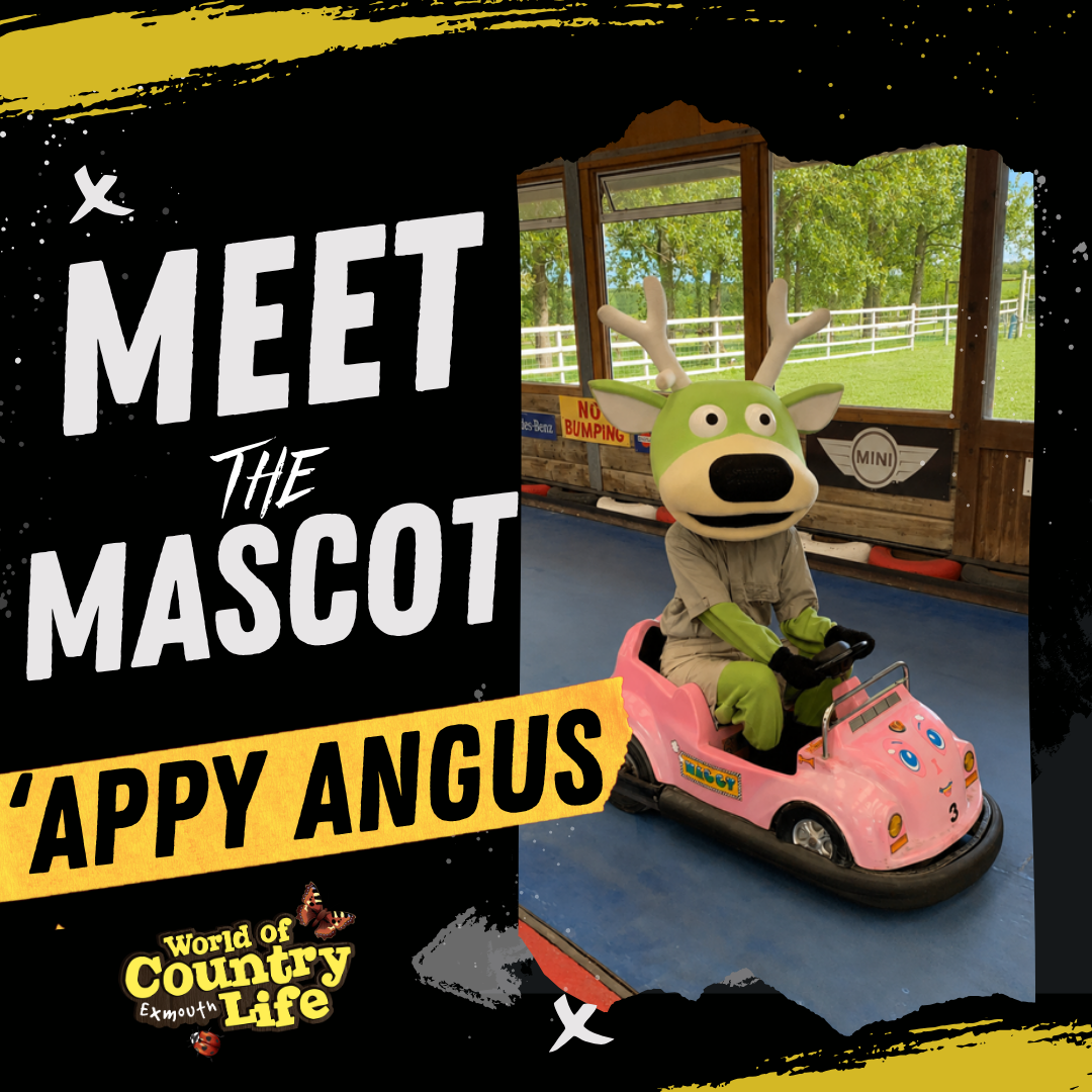 World Of Country Life Angus.png