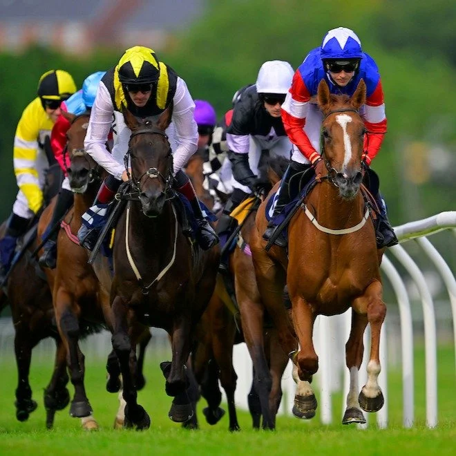 What a great day!

Lots of action in our 6 race card yesterday. Couldn't make it?
Well you're in luck - we race again on Sunday! 

Join us for our Family Fun Day, and don't panic you'll be at home in time for the World Cup Final!

Tickets on sale - h