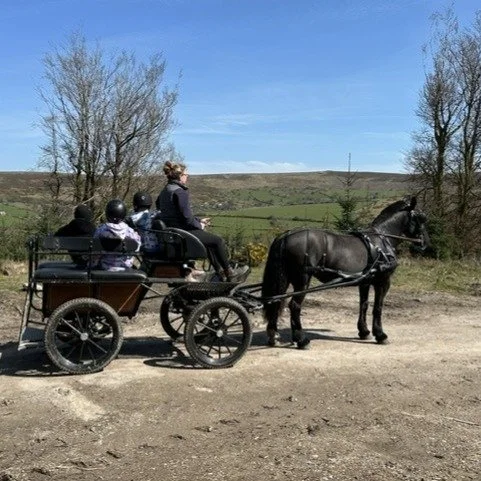 🎉Country Show Announcement!🎉
We are so pleased to reveal that Dartmoor Carriages and Torbay Owls and Company will be joining us at our Country Show. 

Dartmoor Carriages will be offering carriage ride (cost applies) throughout the day. You'll see t