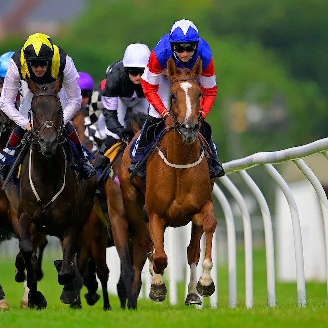 ❓Have you got your tickets for Saturday 22nd August yet?

We're back racing in just a few weeks - and what an afternoon it is looking to be!

🏇🏿Exciting racing - first race at 1.55pm
🎤Party In The Paddock with Sam &amp; The Strings straight after 