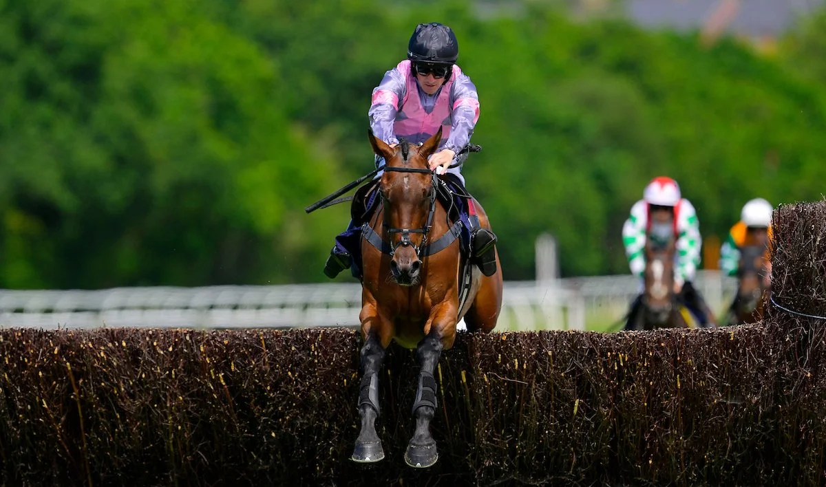 Race Preview - Saturday 22nd August - UPDATED