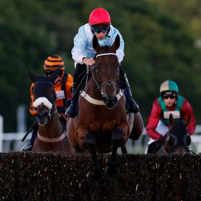 September is looking rather good from where we're standing... 👀Why not come racing next Monday?

✅Swap the desk, the chores and the usual routine for an afternoon at the races. It is time to make your Monday more interesting!

Afternoon racing, grea