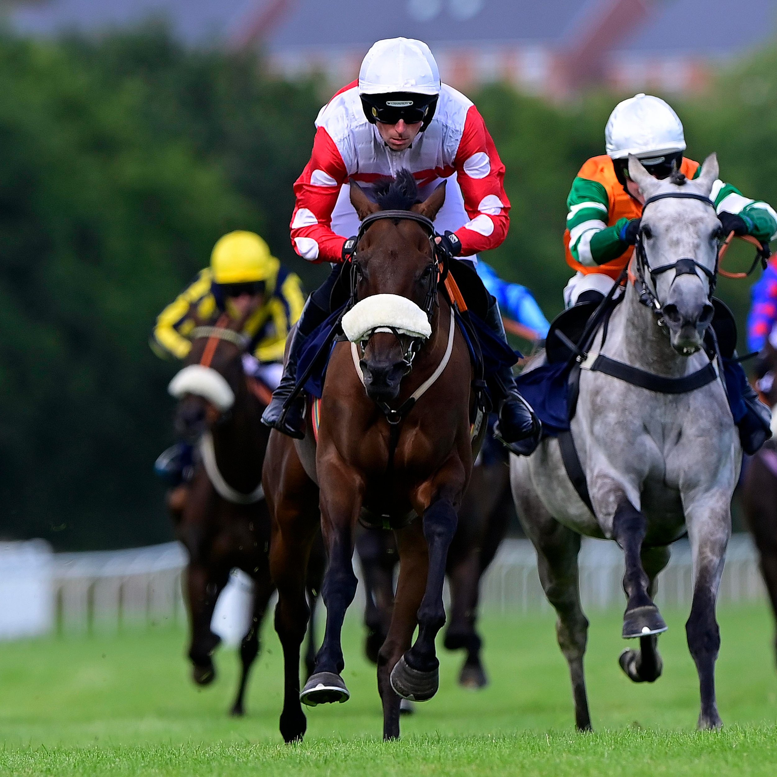 YOUR MONDAY PLANS. SORTED.

The weekend is nearly here&hellip; so why not get Monday booked too?

We're racing at Newton Abbot this coming Monday with an afternoon of live jump racing, plenty of atmosphere and the excitement of being trackside.

Forg