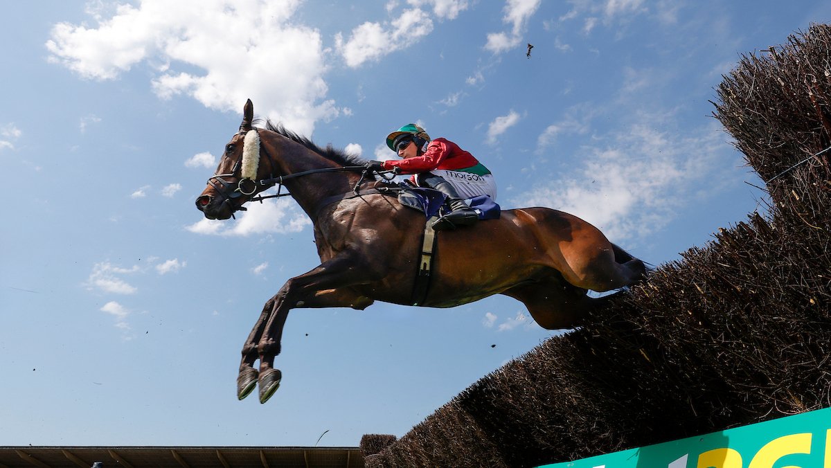 Race Preview - Summer Jumps Championship Finale - Friday 18th September - UPDATED