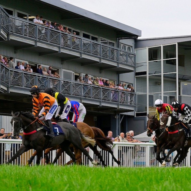 Come Racing This Monday!

Looking for something different to do on Monday? Join us for an afternoon of live jump racing, great atmosphere and a very special equine guest.

🐴 Meet Frodon &ndash; come and see Frodon in the Parade Ring before racing, t