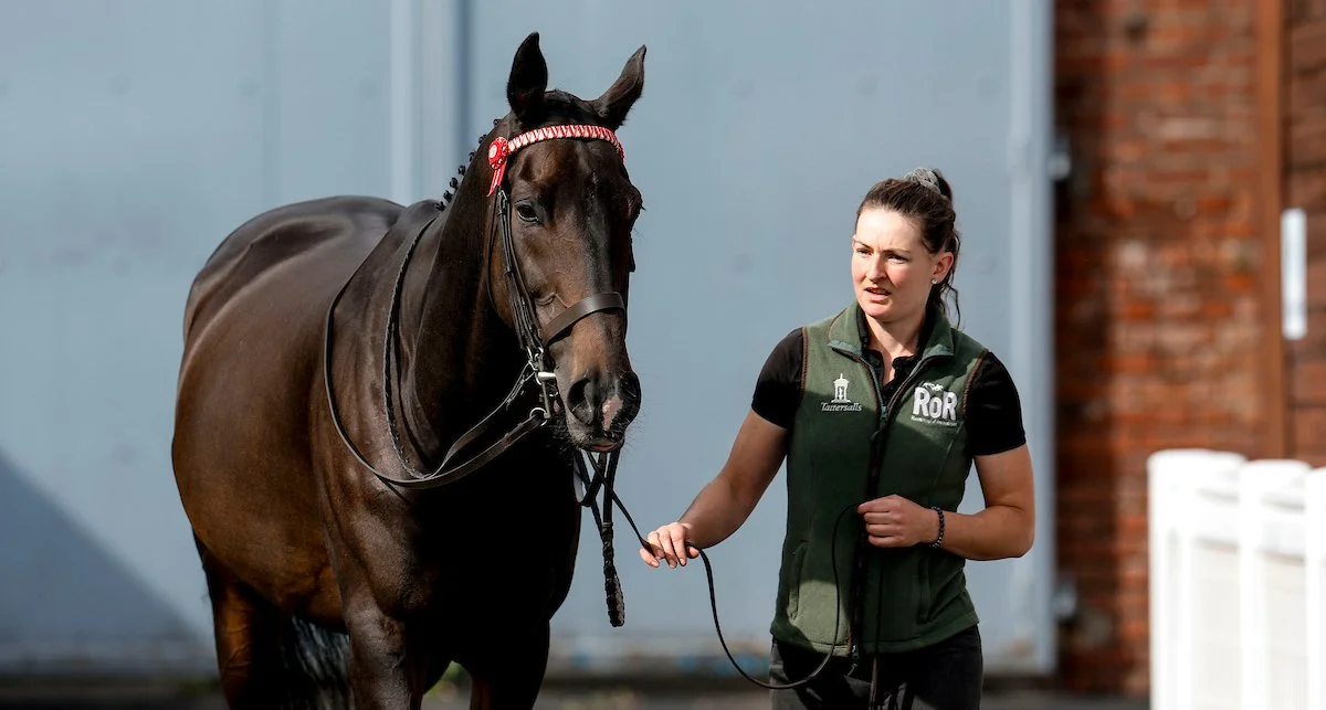 Frodon: from Cheltenham hero to life after racing