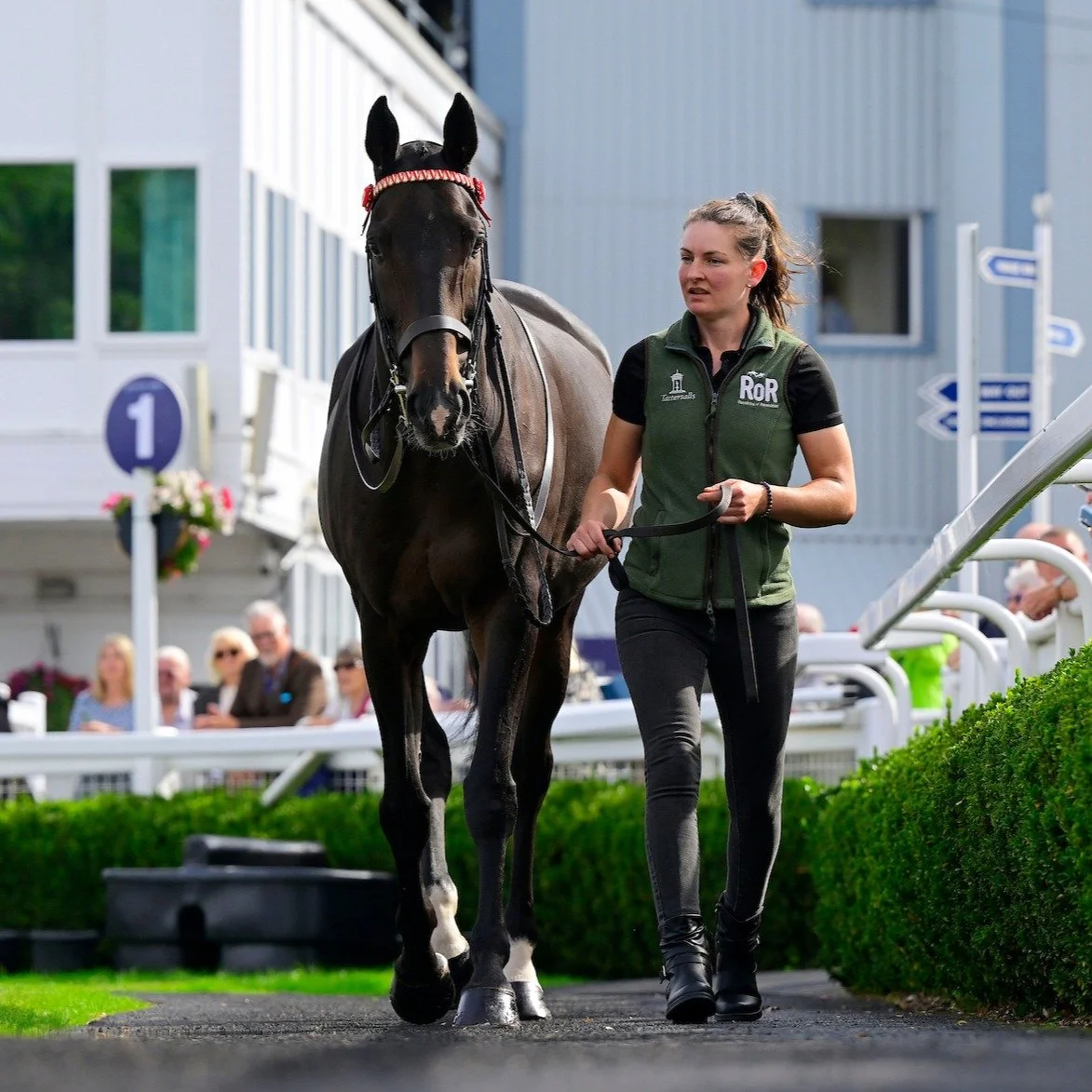 🐴 What a welcome for Frodon!

There was a very special moment in the Parade Ring yesterday as Frodon received a warm, spontaneous round of applause from racegoers who had come to see one of racing's much-loved equine stars.

And the smiles continued