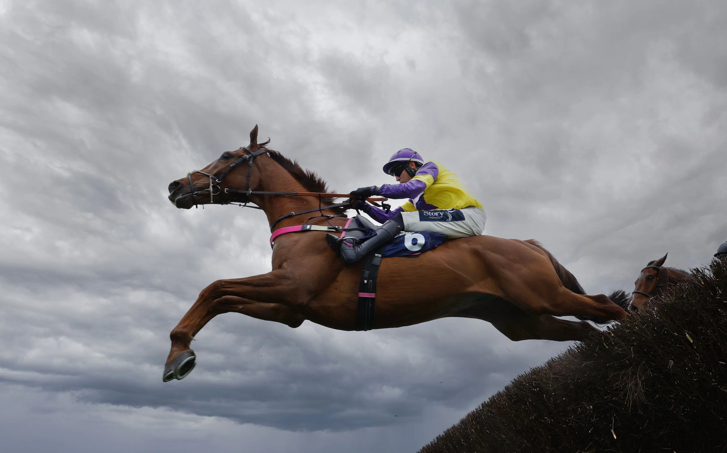 Jump Racing - Afternoon - Meet An Equine Hero