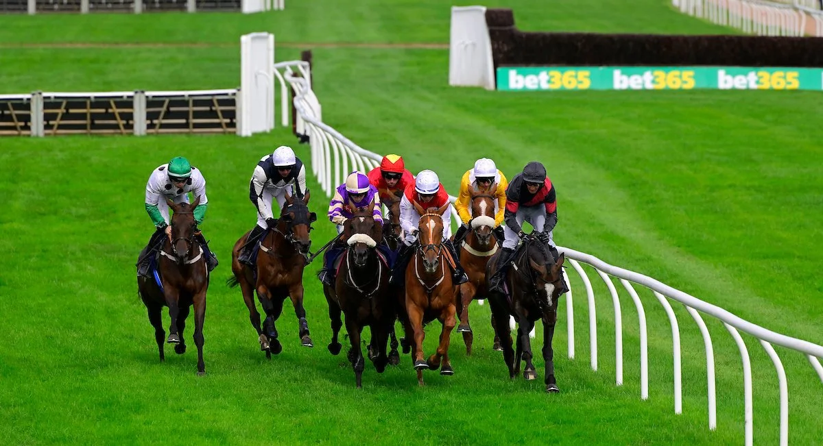 Jump Racing - Afternoon - Meet An Equine Hero