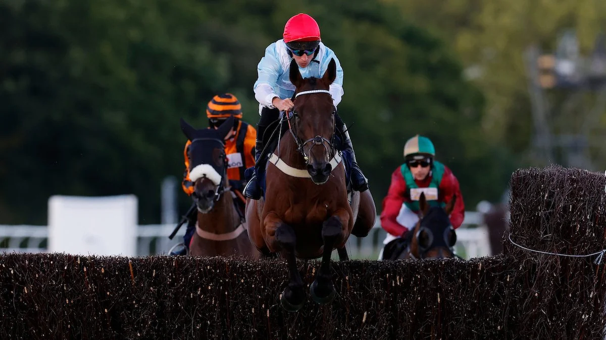 Jump Racing - Evening - Party In The Paddock