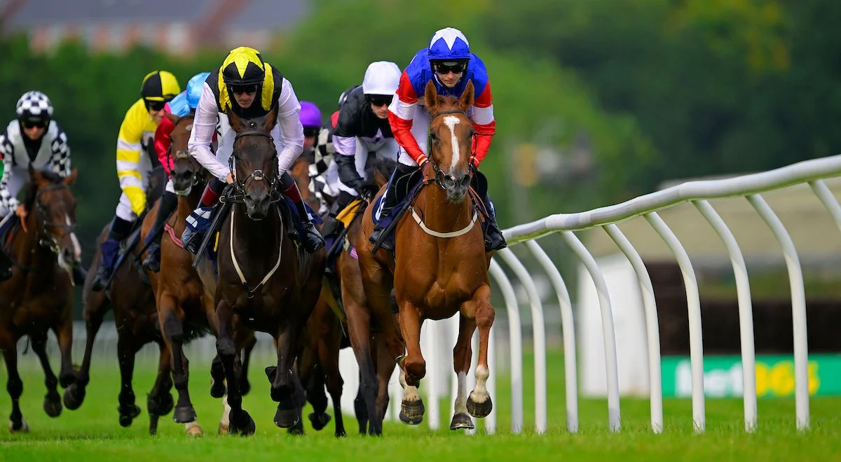 Jump Racing - Evening - Party In The Paddock