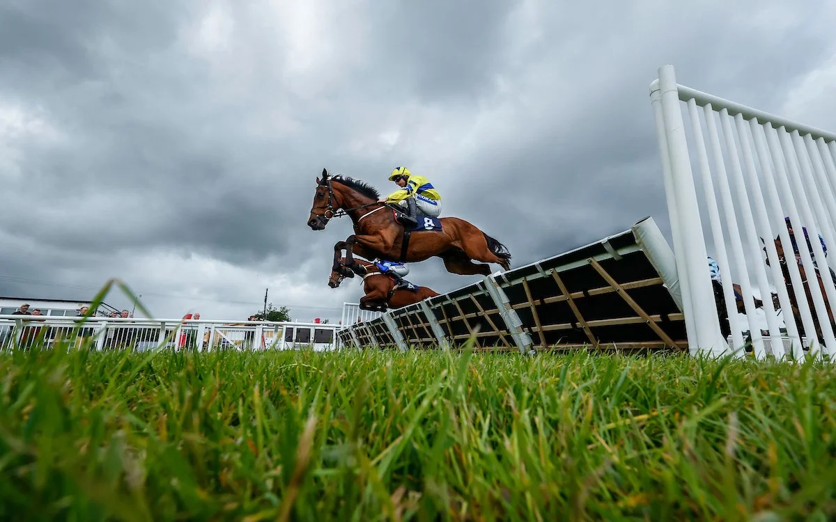 Jump Racing - Evening - Party In The Paddock