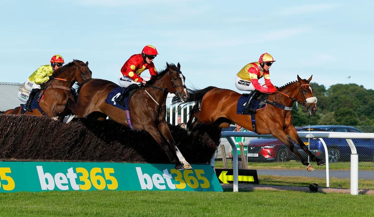 Jump Racing - Afternoon - Family Fun Day