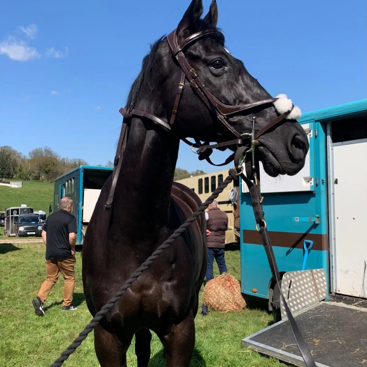 Meet An Equine Hero - This Saturday 💕

We brought you Frodon a few weeks ago and this Saturday Black Corton will be joining us. He'll be in the Parade Ring at 12.20pm so come and find out about his career and what he has been up to since taking a we