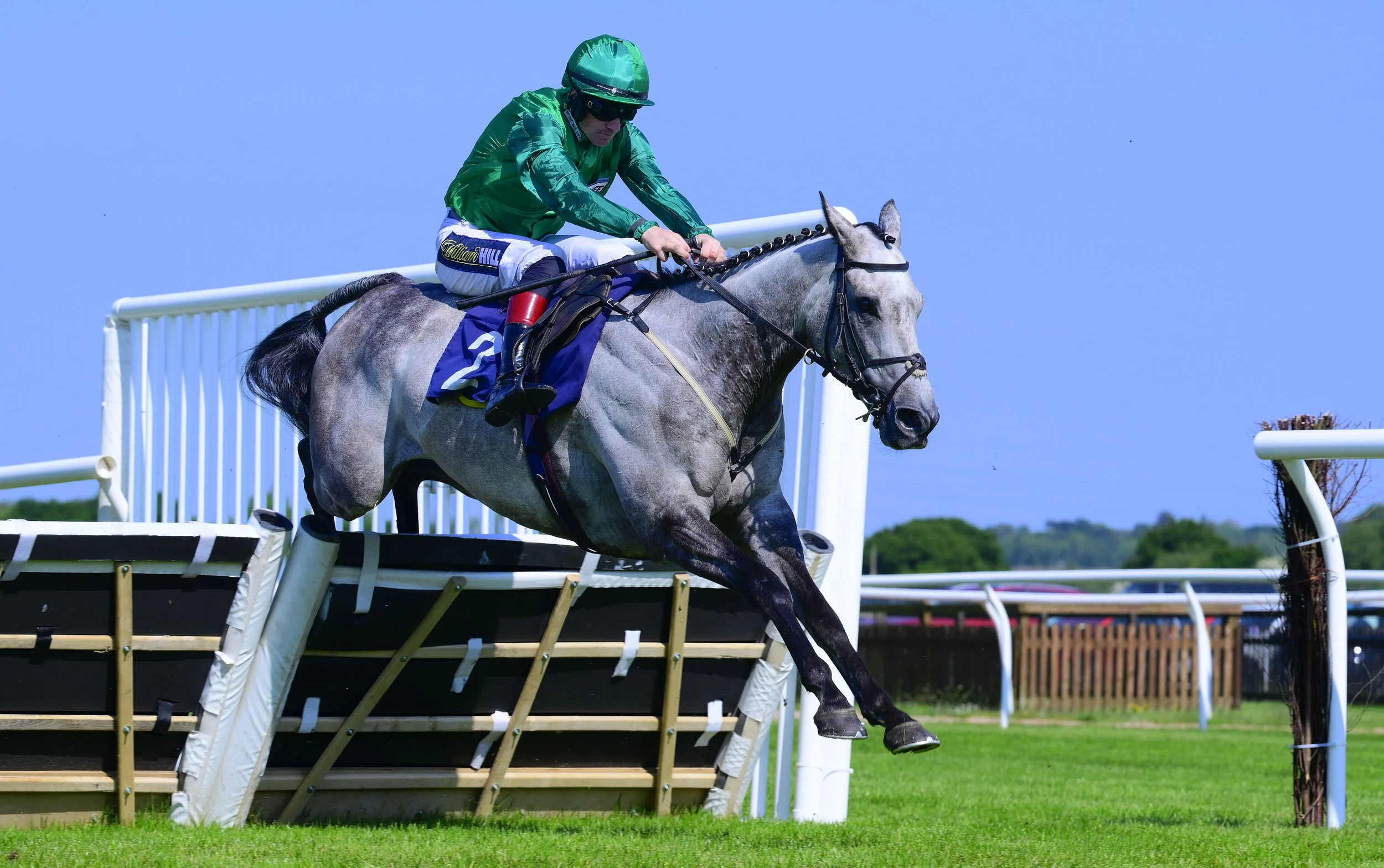 Jump Racing - Afternoon - Meet an Equine Hero