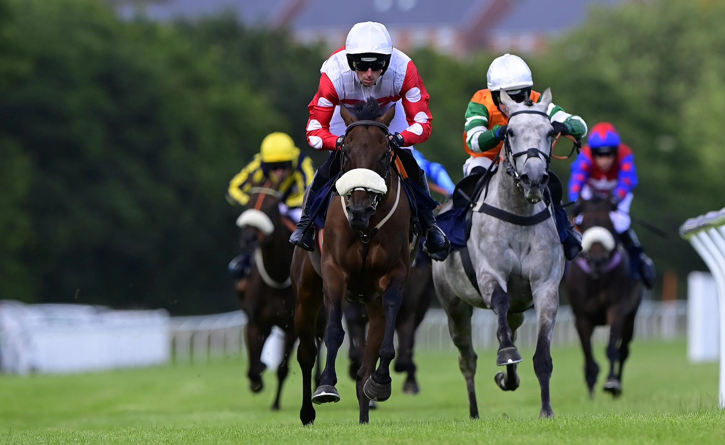 PPAUK_Newton_Abbot_Races_TS_140724_041.jpg
