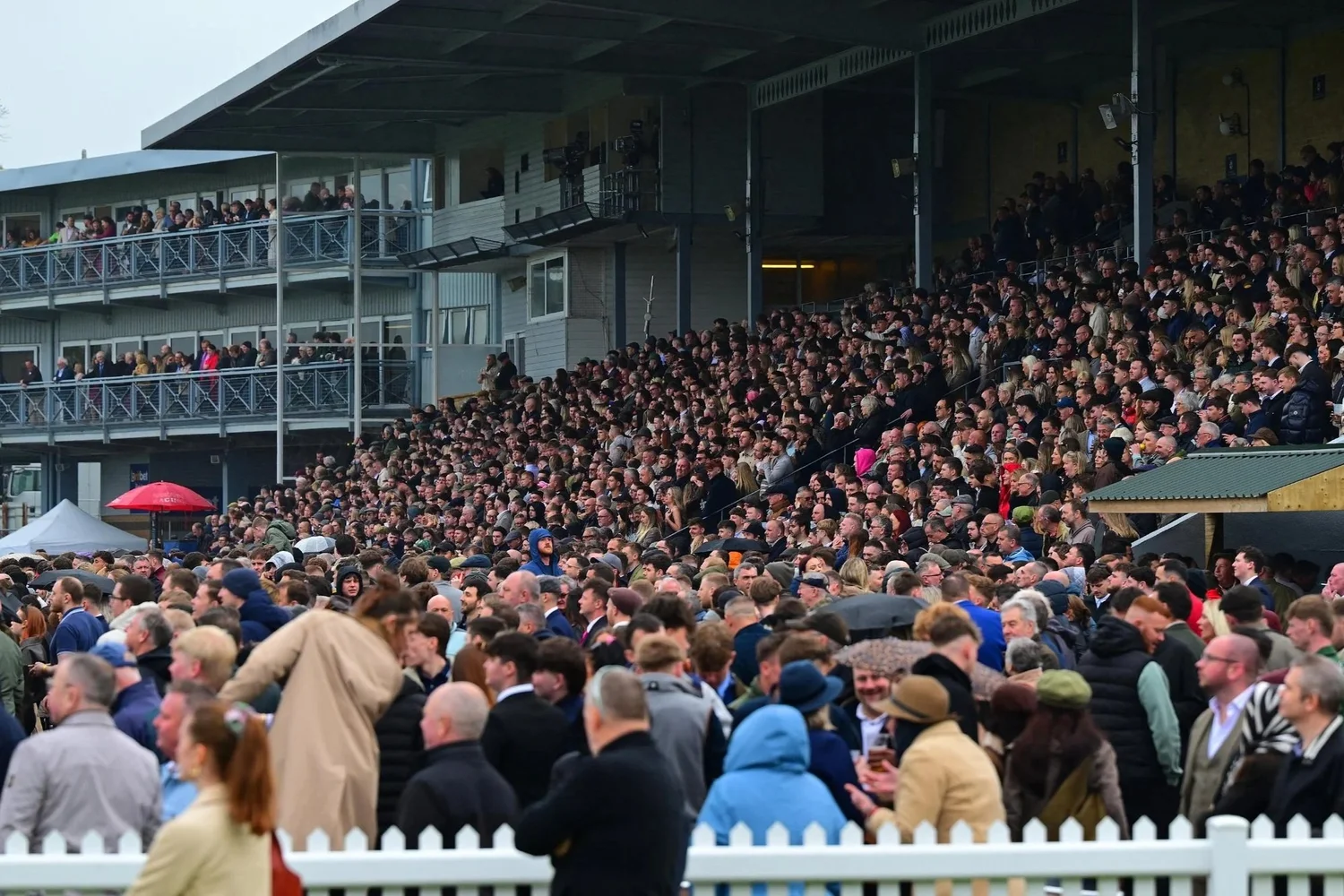Newtown Races England Plan Your Visit | Plan Your Race Day Experience — Newton Abbot Racecourse