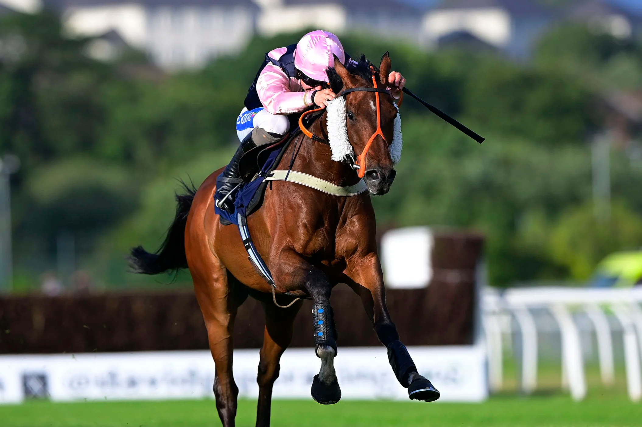 A jockey in pink and black riding attire leaning forward on a brown horse during a race, with horses and greenery blurred in the background.