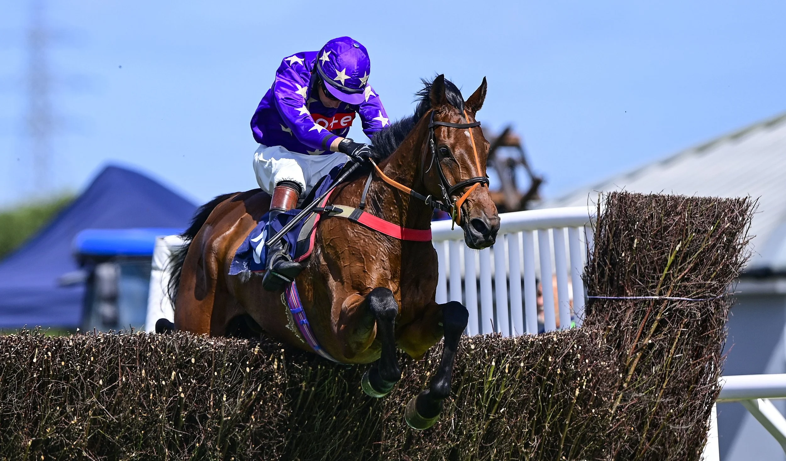 Jump Racing - Afternoon - Party at the Paddock